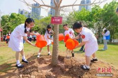 湾区儿童共植英雄树活动在广州南沙举办